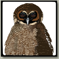 brown owl button