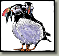 puffin card button