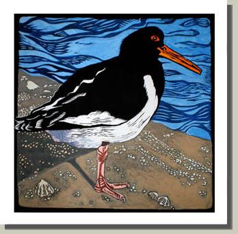 oystercatcher button